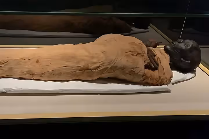 Ancient Egyptian mummy on display at Cairo National Museum, entry with QR ticket for fast museum access