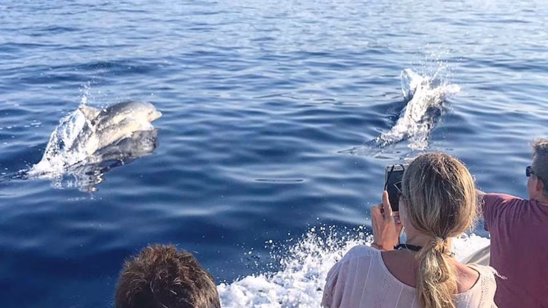 Tourists capturing dolphins leaping from the water on a RIB excursion near Cala Gonone, Sardinia.