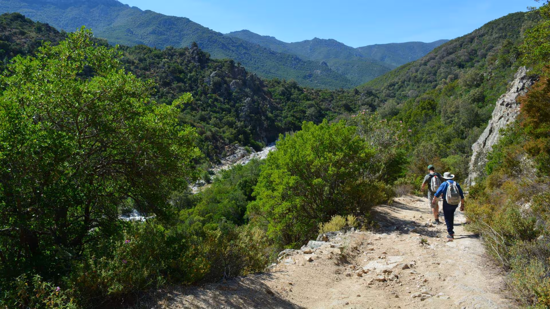 Two hikers explore a scenic trail surrounded by vibrant greenery in the Gorropu Canyon near Cala Gonone.