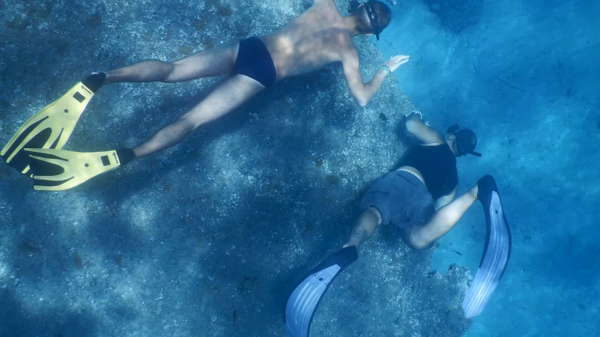 Two snorkelers exploring the vibrant underwater landscape of the Orosei Gulf, showcasing marine life.