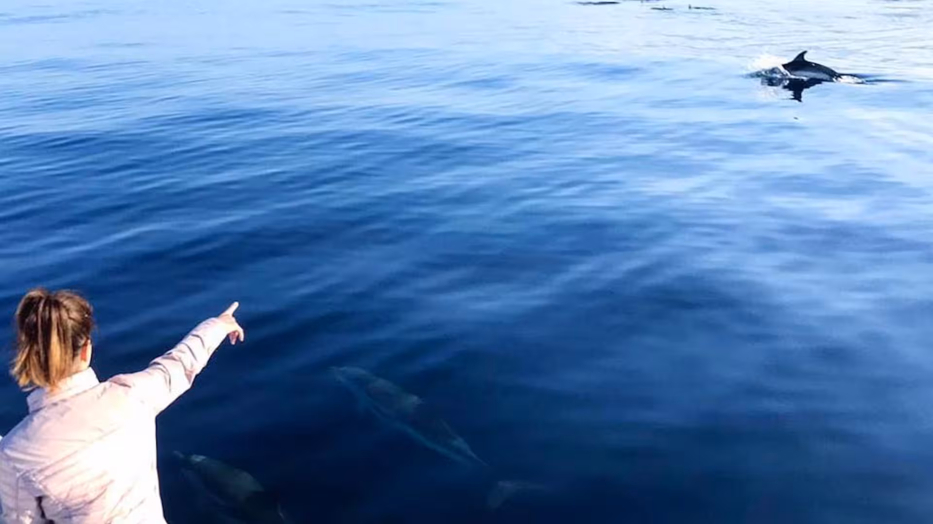 Tourist pointing at dolphins during a serene Cala Gonone RIB excursion, ideal for marine life exploration and adventure.