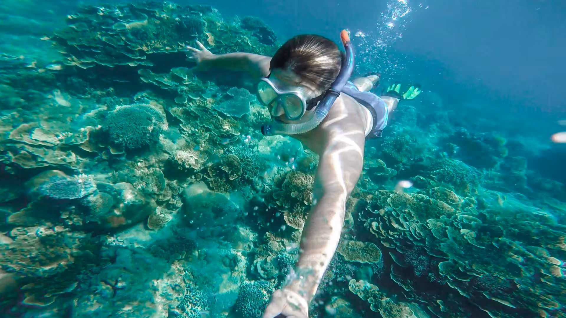 Snorkeler exploring vibrant coral formations in the Orosei Gulf, Cala Gonone, offering an immersive underwater adventure.