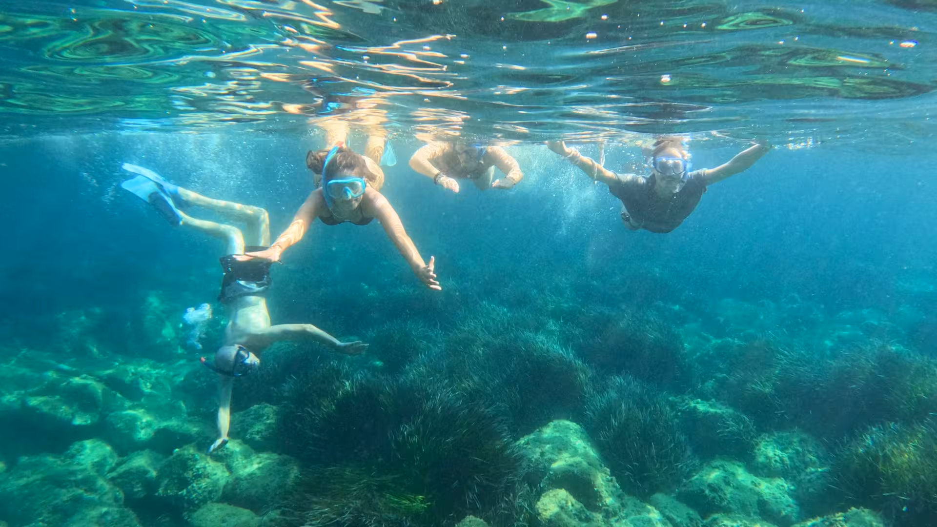 Group snorkeling adventure in Cala Gonone, Orosei Gulf, showcasing clear waters and diverse sea flora.