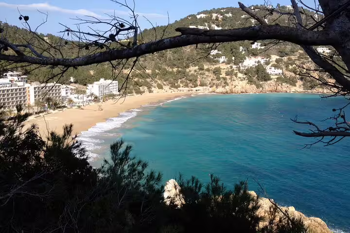 Panoramic Cala San Vicente beach viewpoint, turquoise sea on Ibiza island tour with bus and official guide