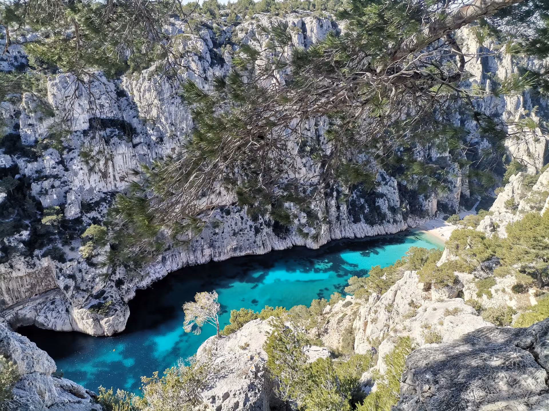Panoramic view of Calanque d’En-Vau turquoise lagoon and cliffs, highlight of a 7-day Provence hiking tour