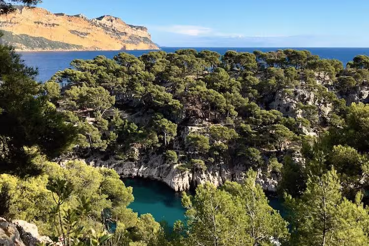 Pine-covered ridge above Port-Miou cove and Mediterranean sea on Calanques National Park hike from Cassis