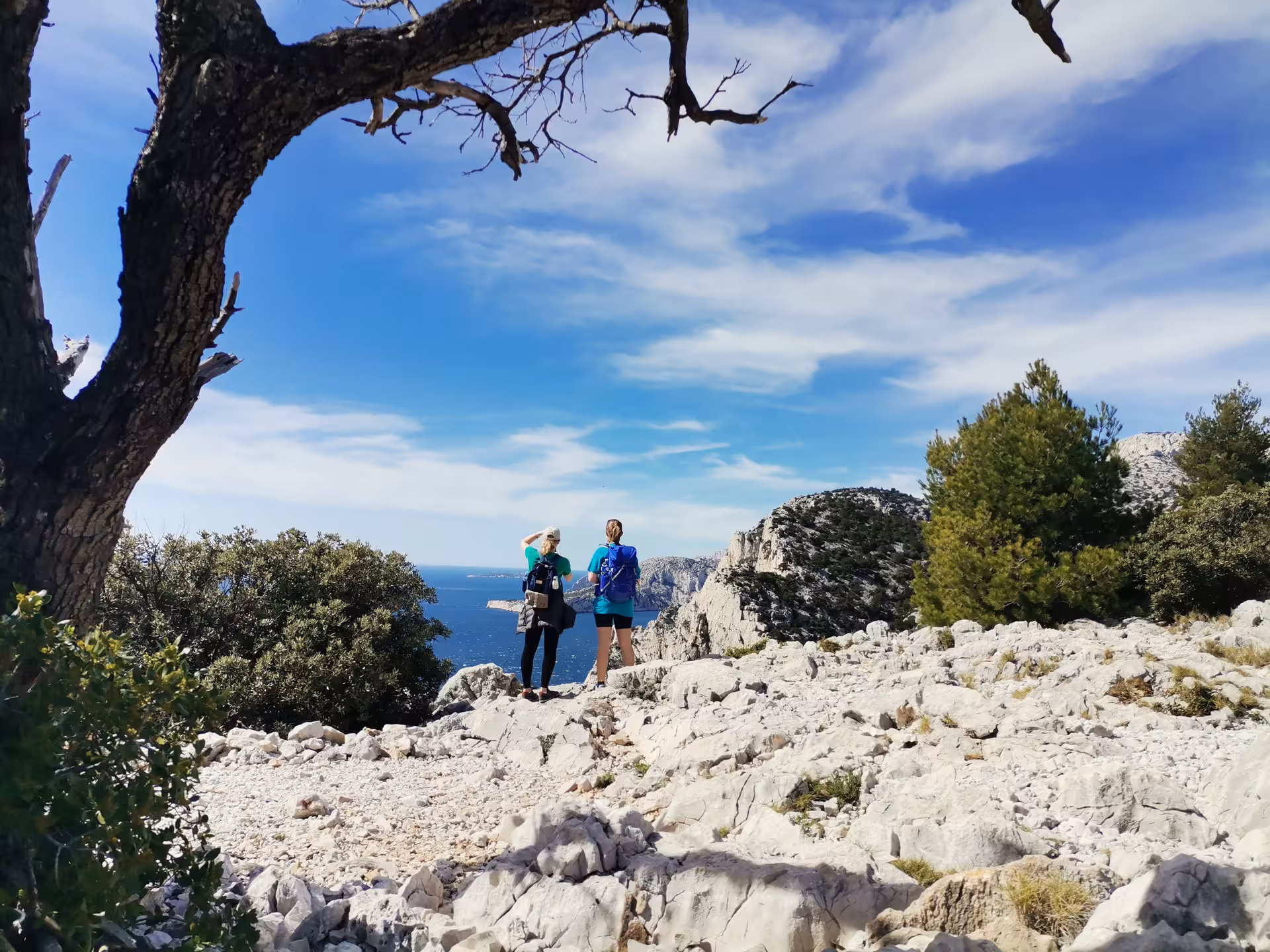 Hikers overlooking the Mediterranean on the En-Vau, Port-Pin and Port-Miou Calanques National Park trail