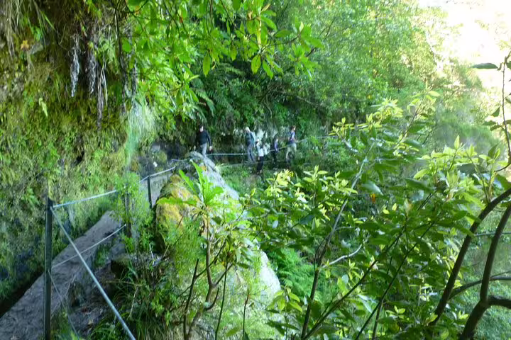 Adventurous hikers exploring lush, green forest trails along rocky paths in the scenic Burned Green Cauldron experience.