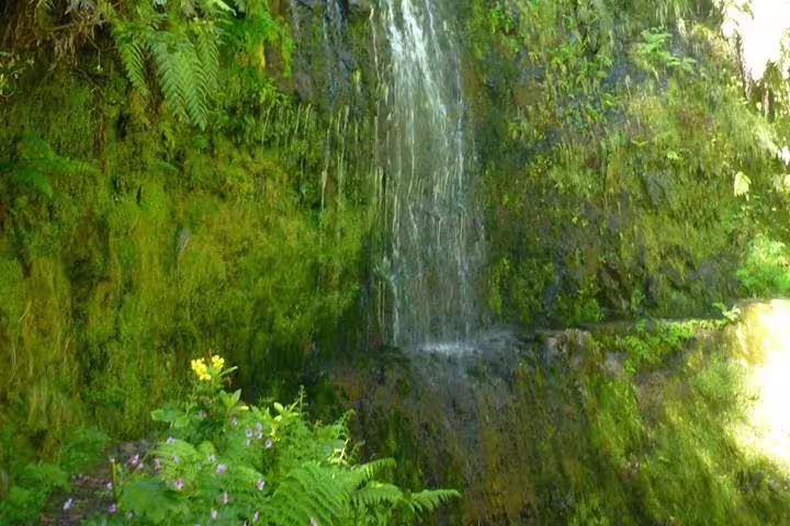 Lush waterfall cascading over vibrant green moss in the scenic Burned Green Cauldron tour.