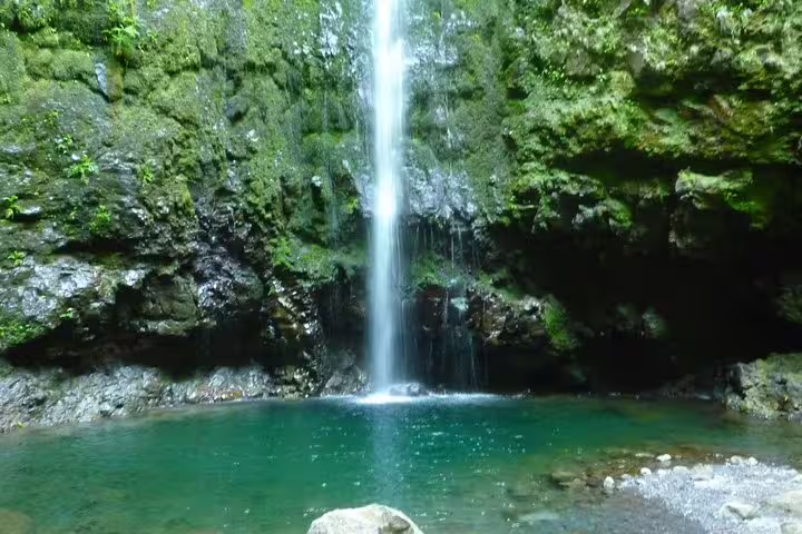 Majestic waterfall cascading into a serene turquoise pool surrounded by moss-covered rocks in Burned Green Cauldron.