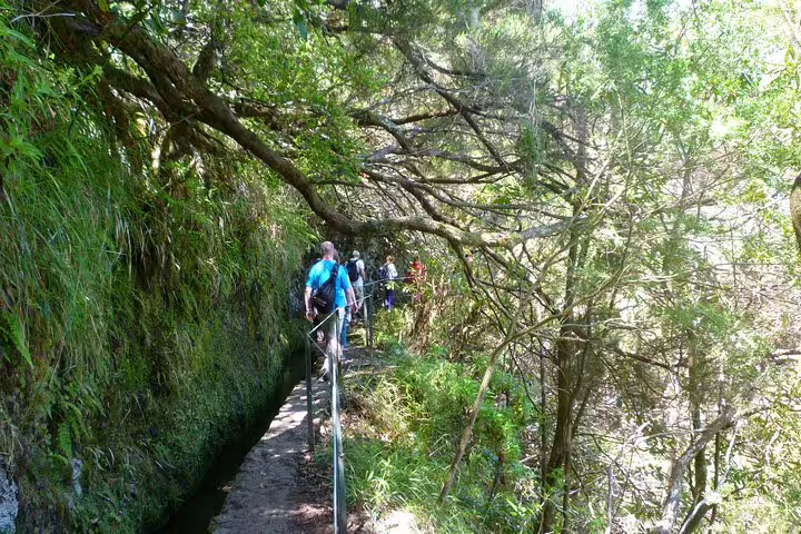 Hikers enjoy a lush forest trail with vibrant greenery on the Burned/Green Cauldron tour, perfect for nature lovers.