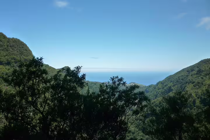 Breathtaking view of lush green valleys leading to the ocean under a clear blue sky at Burned Green Cauldron tour.