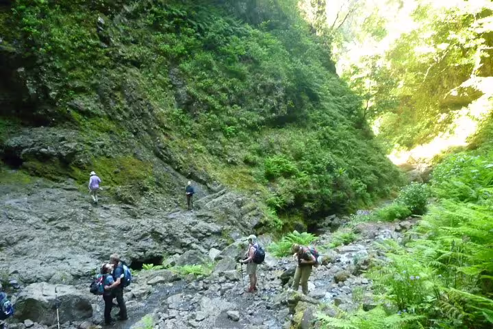 Hikers exploring rocky terrain surrounded by lush greenery on the Burned Green Cauldron adventure.