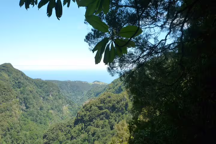 Scenic view of lush mountain valleys and distant ocean from a high vantage point on the Burned Green Cauldron tour.