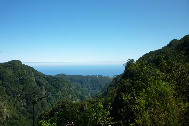 Panoramic view of ocean meeting rolling green hills, ideal for nature lovers visiting Burned Green Cauldron tours.