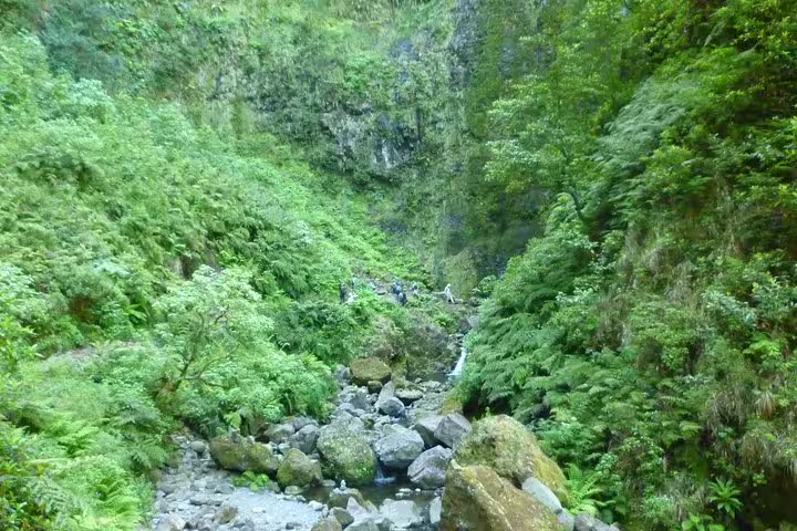 Scenic rocky stream flowing through dense greenery in a serene valley, highlighting the natural beauty of Burned Green Cauldron.