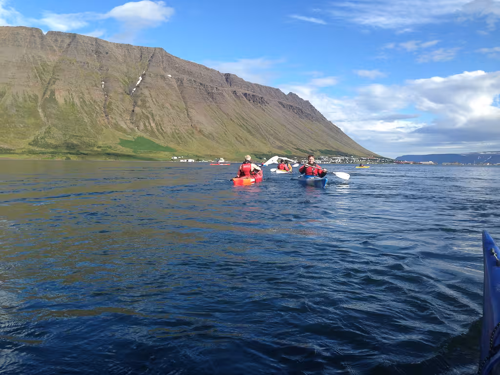 Small group calm water kayaking tour on a sheltered fjord, gliding past steep green mountains and coastline