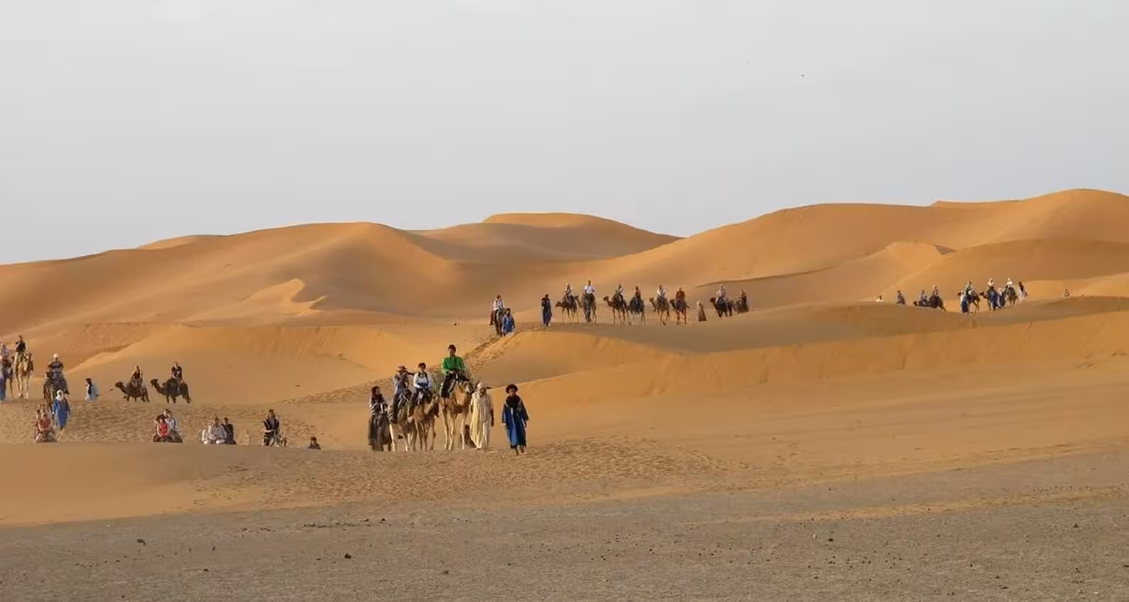 Camel caravan traversing the golden sand dunes of Merzouga Sahara on a 4-day tour from Fes to Marrakech.