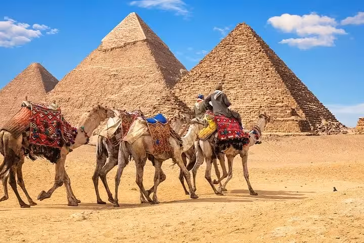 Camel caravan in front of the Pyramids of Giza, highlight of Cairo pyramids tour by bus from Sharm El Sheikh