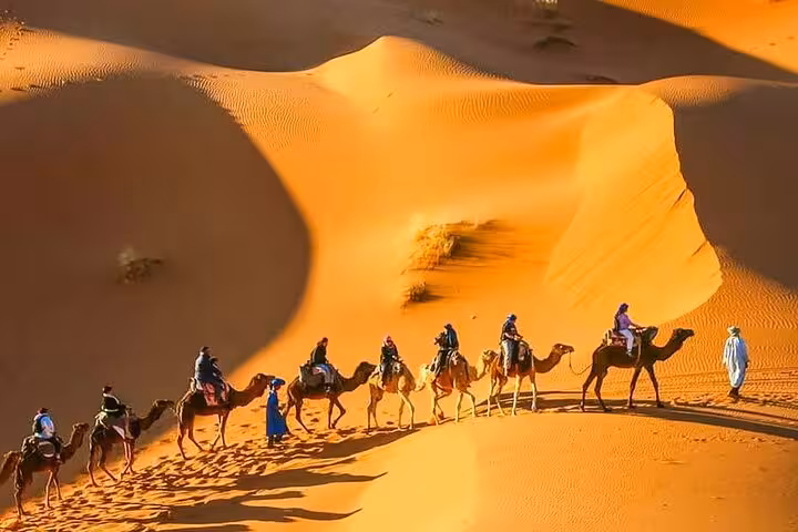 Camel caravan traverses the golden dunes of the Sahara Desert at sunset on the Morocco tour from Fes to Marrakech.