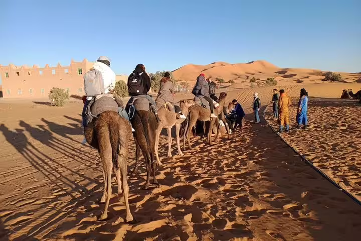 Camel caravan at sunrise in Sahara dunes on Morocco 12-day 11-night desert tour from Agadir