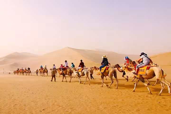 Camel caravan crossing Sinai desert dunes near Sharm El Sheikh on a sunset safari adventure tour