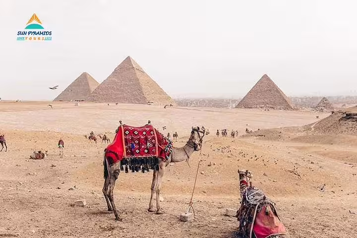 Camel at Giza Pyramids, Cairo desert view, iconic stop on 12 days Egypt tour to Luxor Aswan Petra