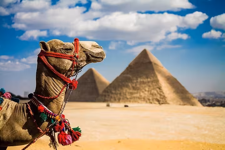 Camel with colorful harness at Giza Pyramids on semi-private Cairo tour from Hurghada, Egypt