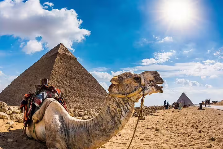 Camel resting by the Great Pyramid of Giza under blue sky on private 3-day Cairo Giza Alexandria tour