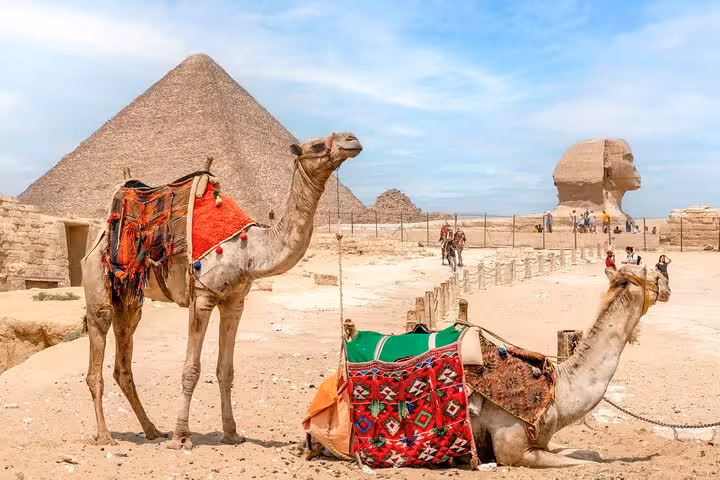 Camel resting near the Great Pyramid and Sphinx, Cairo full-day customized adventure with free camel ride