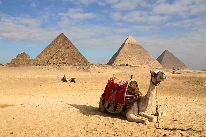 Camel resting near the Great Pyramids of Giza, Cairo, on a 2-day short break tour in Egypt