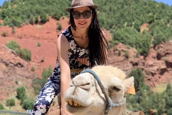 Tourist camel ride in the Atlas Mountains en route on a 3-day Marrakech to Sahara desert tour