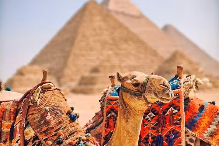 Camel ride with colorful saddle in front of the Great Pyramids of Giza on Saqqara and Memphis day tour
