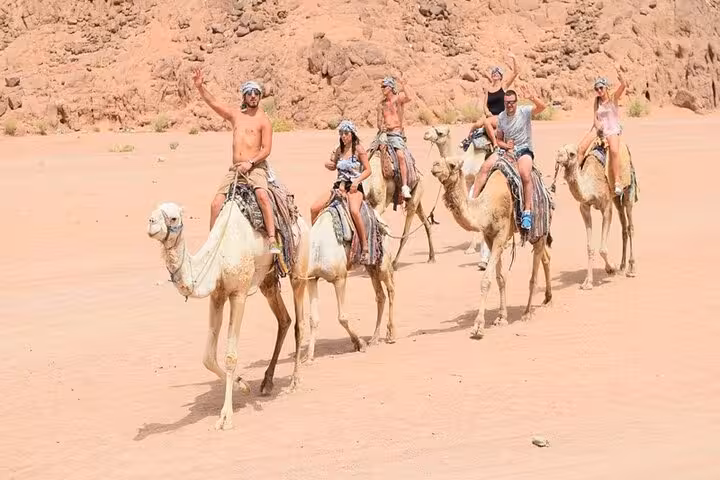 Tourists on camel ride in Sharm El Sheikh desert, part of Super Safari quads and Bedouin dinner show tour