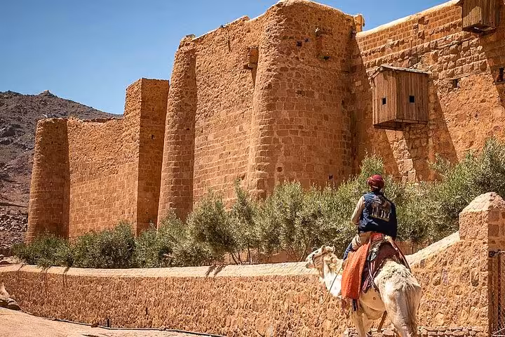 Camel rider by St Catherine’s Monastery fortress walls on Sinai day trip from Sharm El Sheikh to Dahab
