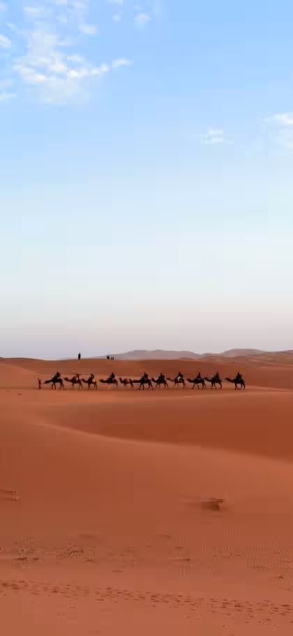 Silhouetted camel trek across Merzouga dunes in the Sahara Desert, Morocco, on a Best of Morocco itinerary