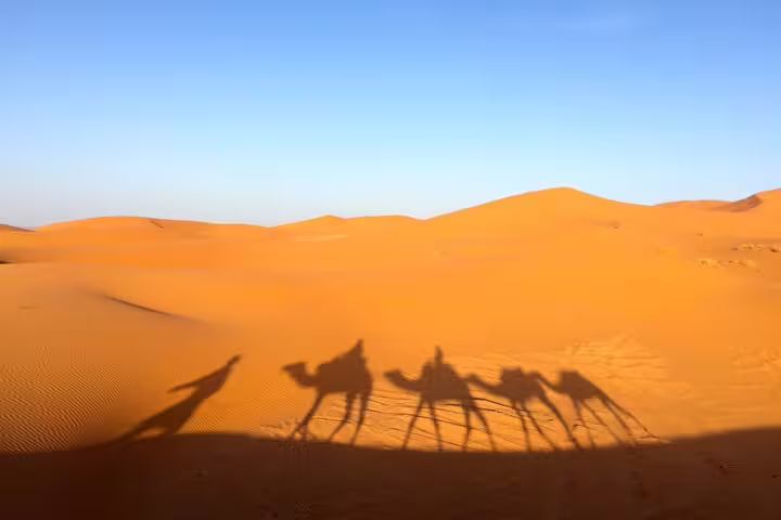Camel trek shadows on Merzouga Erg Chebbi dunes at sunset, 3-day Marrakech to Sahara desert tour