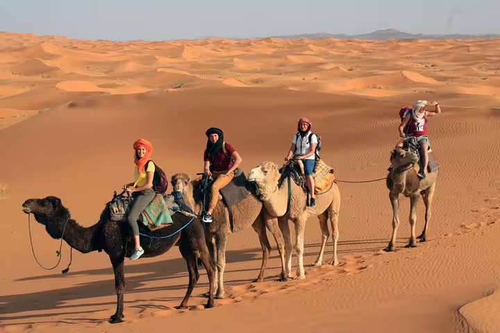 Camel trekking in Merzouga Sahara dunes at sunset, classic Morocco best 8 days tour from Tangier