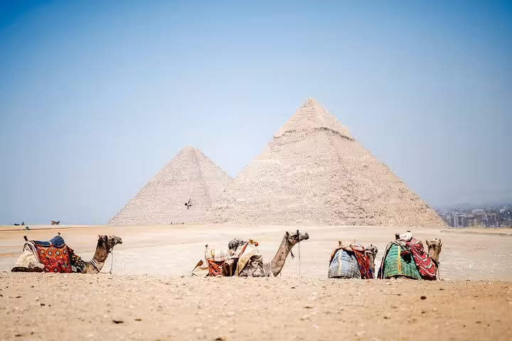 Camels resting in the desert with Giza Pyramids backdrop on a skip-the-line hidden gems photo tour