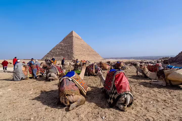 Camels resting near the Great Pyramid of Giza, perfect Cairo photo session add-on tour for iconic shots