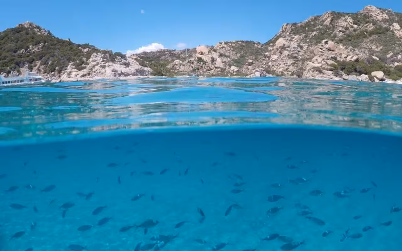 Crystal-clear waters with fish near rocky coasts in La Maddalena Archipelago, ideal for Cannigione catamaran tours.