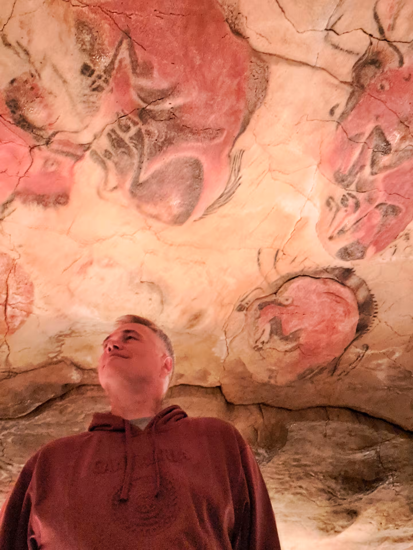 Visitor admiring prehistoric cave paintings on the ceiling in Cantabria, showcasing ancient artistry and culture.