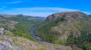 Aerial view of Cânion do Guartelá with lush greenery and winding river under a clear blue sky.