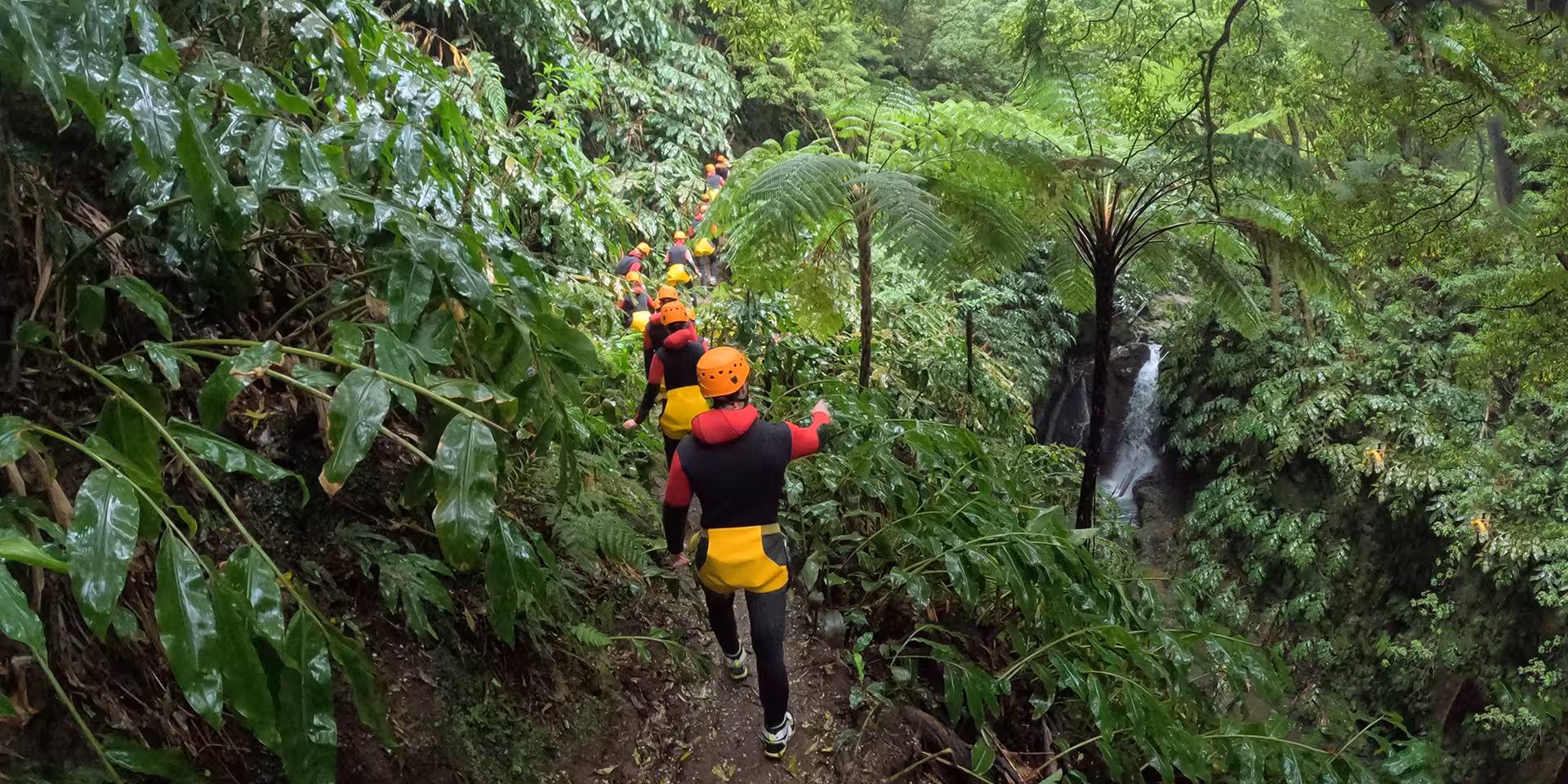 Canyoning hike through rainforest trail with helmets and wetsuits, trekking beside a hidden waterfall gorge