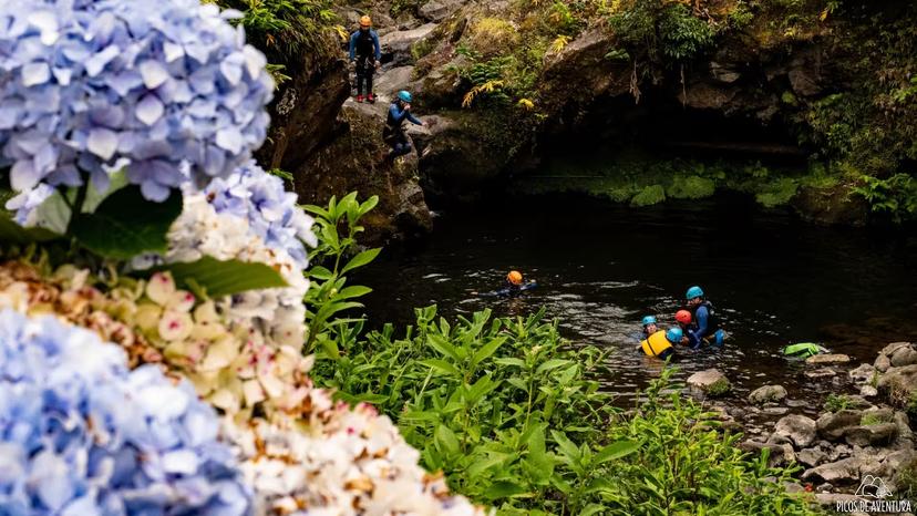 Canyoning group swimming and cliff jumping in Ribeira dos Caldeirões gorge, Azores, near Terra Nostra Park