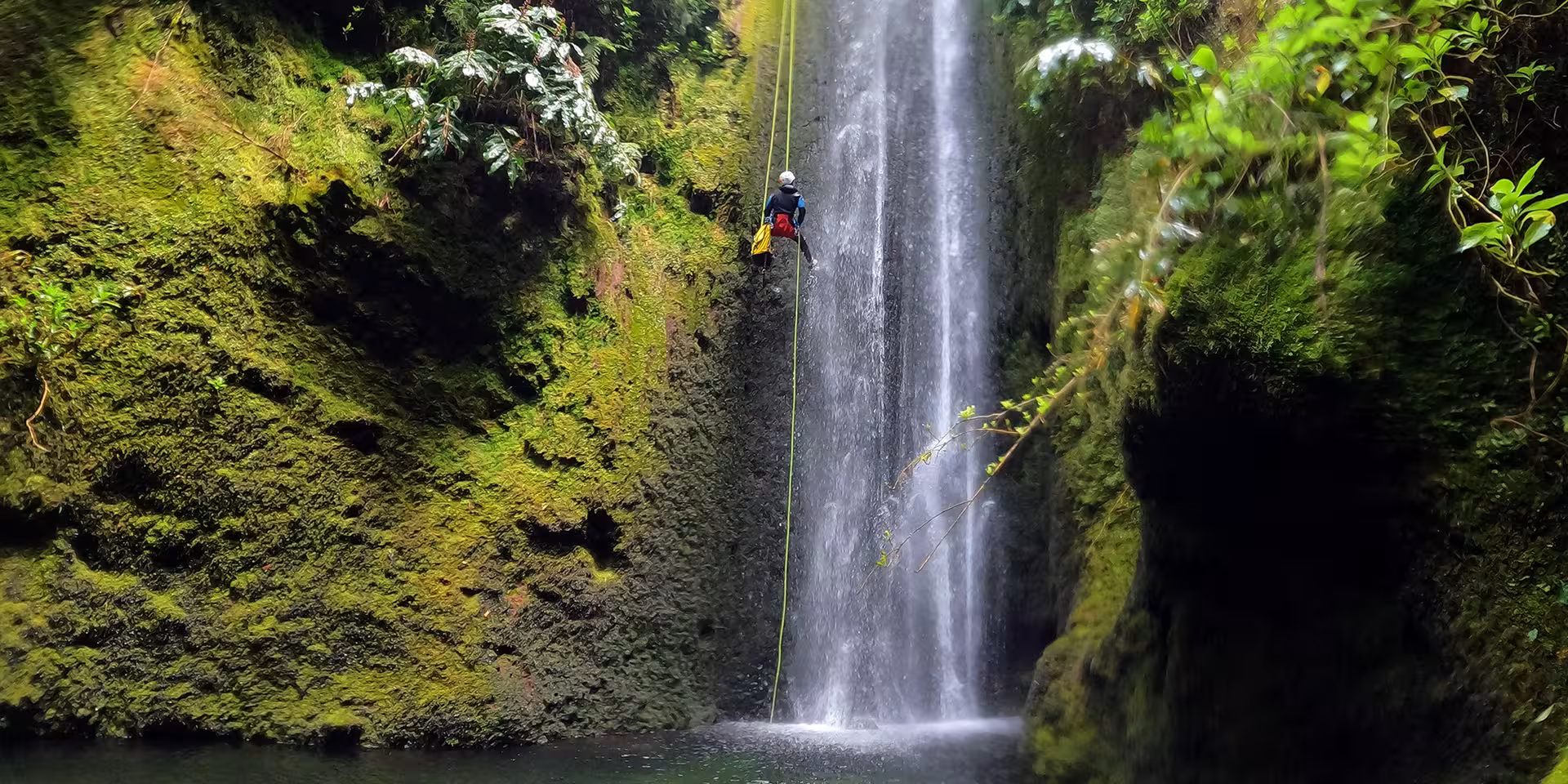 Canyoning Outward Shore waterfall abseil down a lush fern-covered canyon into a clear pool with safety rope