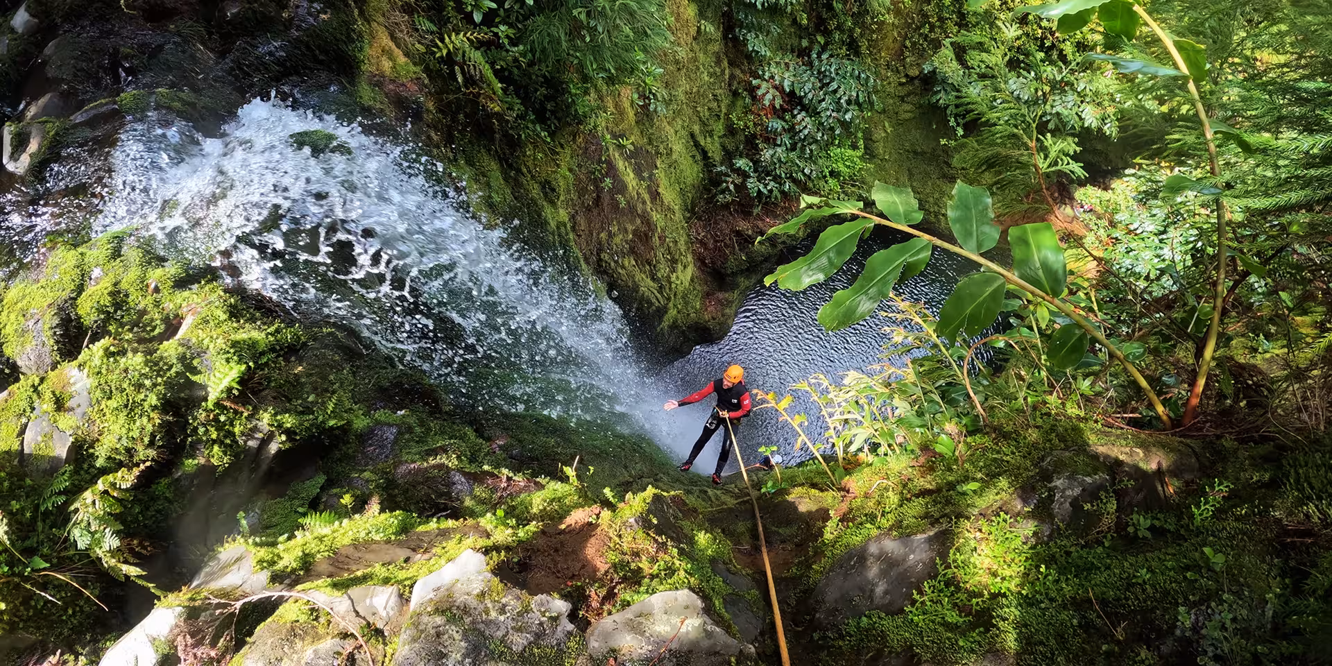 Canyoning guide rappels beside waterfall into deep pool on CANYONING Outward Shore, rainforest canyon