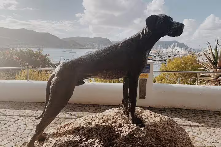 Statue of a dog overlooking a marina at Cape Peninsula, capturing the area's rich history and scenic beauty.