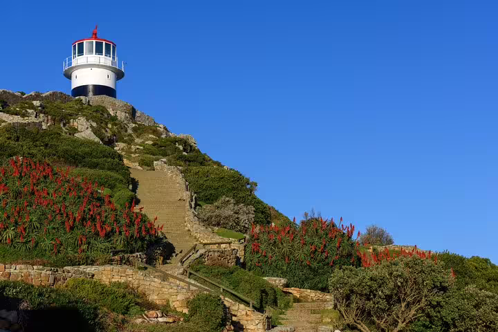 Lighthouse atop rocky hill at Cape Point, surrounded by vibrant flora, a highlight of the Cape of Good Hope tour.