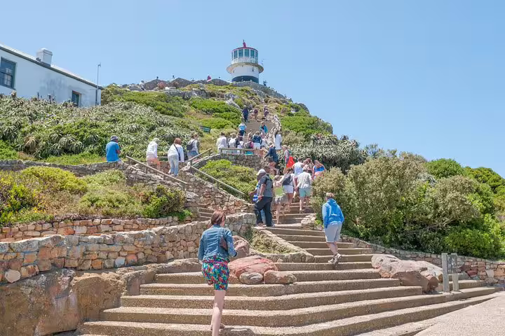 Visitors climbing steps to Cape Point lighthouse with lush greenery, ideal for Cape of Good Hope tours.